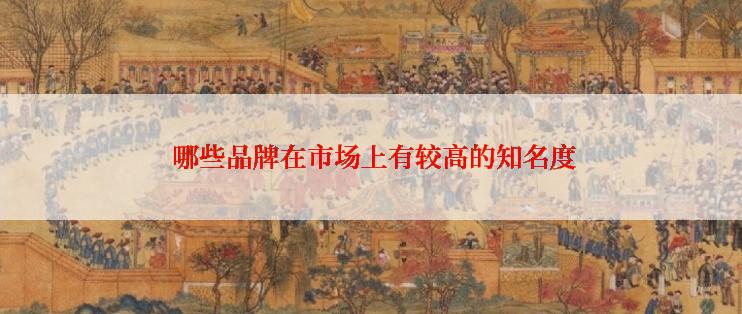  哪些品牌在市场上有较高的知名度