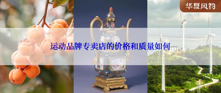 运动品牌专卖店的价格和质量如何