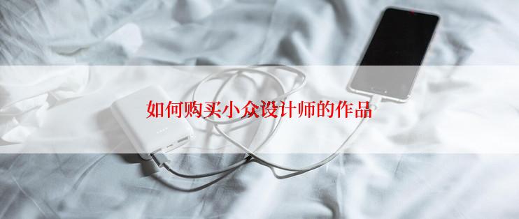 如何购买小众设计师的作品