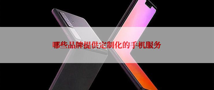 哪些品牌提供定制化的手机服务