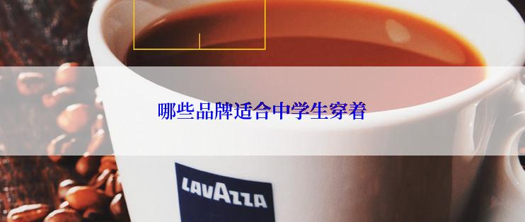 哪些品牌适合中学生穿着