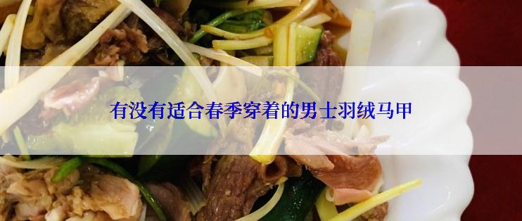 有没有适合春季穿着的男士羽绒马甲