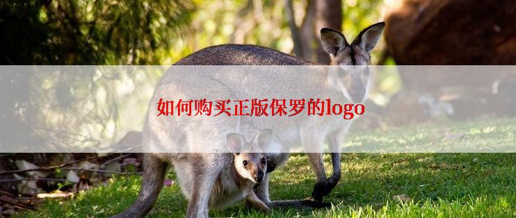  如何购买正版保罗的logo