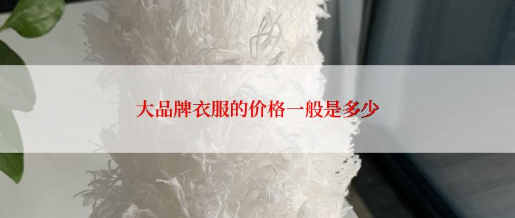 大品牌衣服的价格一般是多少
