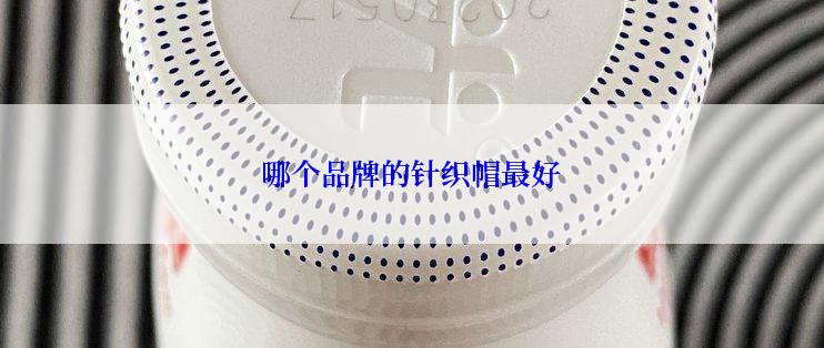 哪个品牌的针织帽最好
