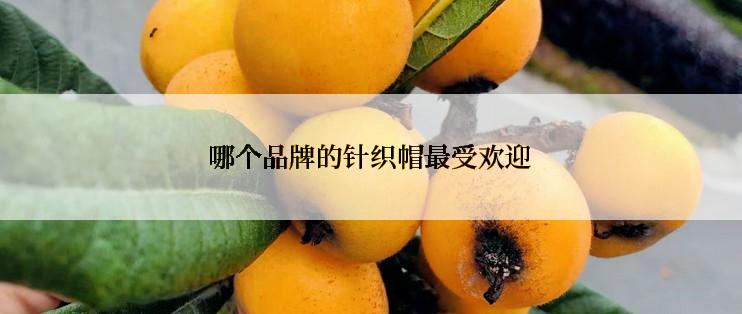 哪个品牌的针织帽最受欢迎