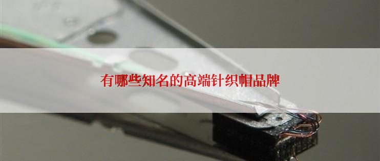 有哪些知名的高端针织帽品牌