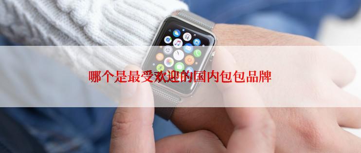 哪个是最受欢迎的国内包包品牌