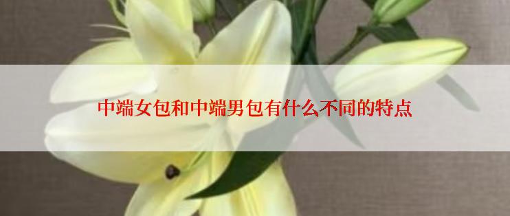 中端女包和中端男包有什么不同的特点