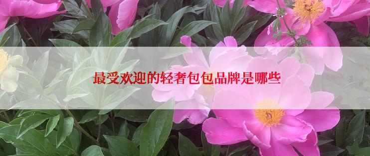  最受欢迎的轻奢包包品牌是哪些