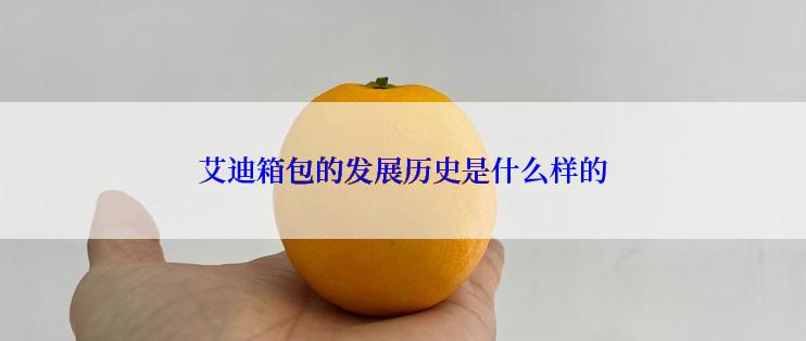 艾迪箱包的发展历史是什么样的