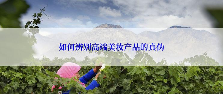 如何辨别高端美妆产品的真伪