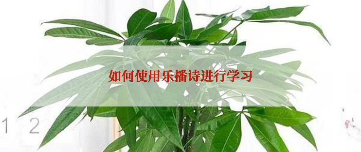 如何使用乐播诗进行学习