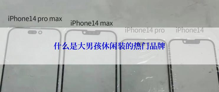 什么是大男孩休闲装的热门品牌