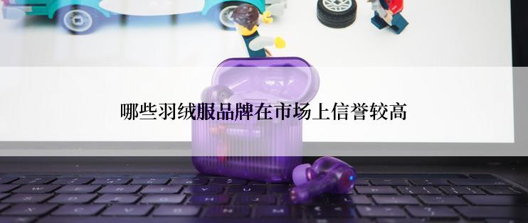 哪些羽绒服品牌在市场上信誉较高