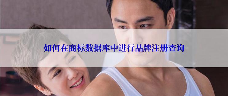 如何在商标数据库中进行品牌注册查询