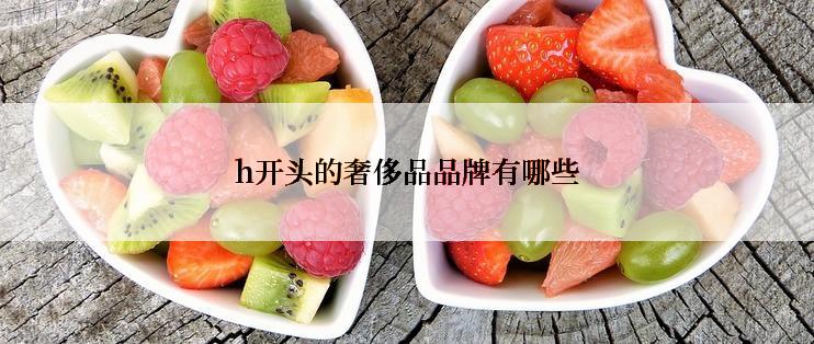 h开头的奢侈品品牌有哪些