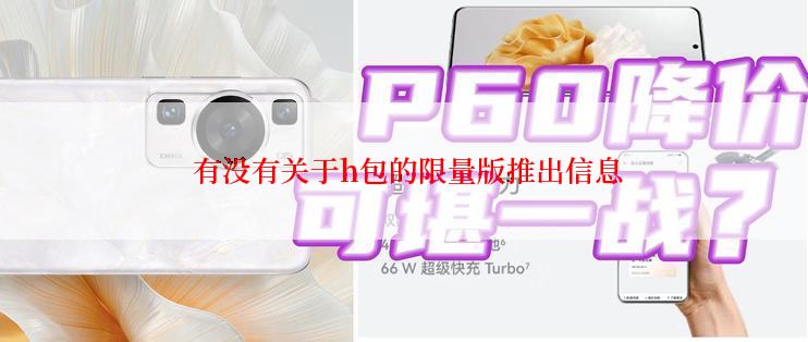  有没有关于h包的限量版推出信息