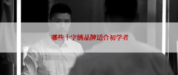  哪些十字绣品牌适合初学者
