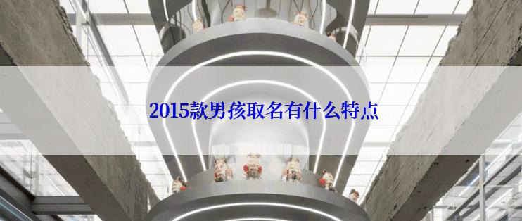  2015款男孩取名有什么特点