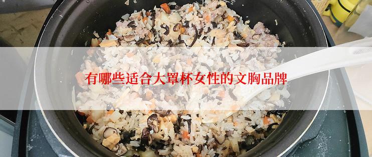 有哪些适合大罩杯女性的文胸品牌