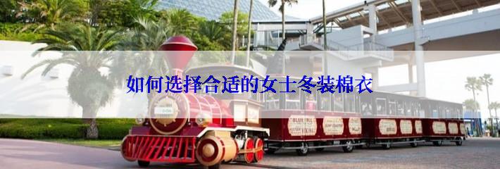 如何选择合适的女士冬装棉衣