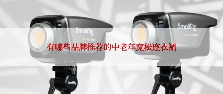 有哪些品牌推荐的中老年宽松连衣裙