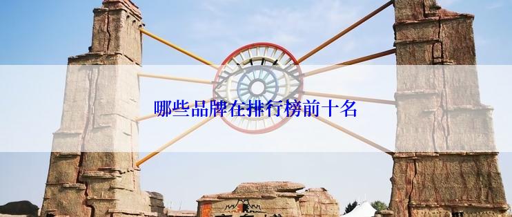 哪些品牌在排行榜前十名