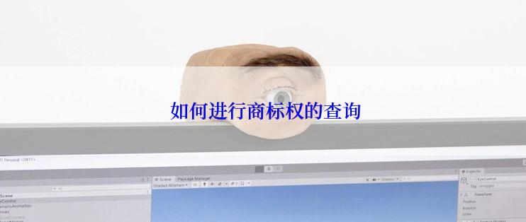  如何进行商标权的查询