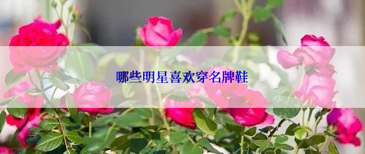 哪些明星喜欢穿名牌鞋
