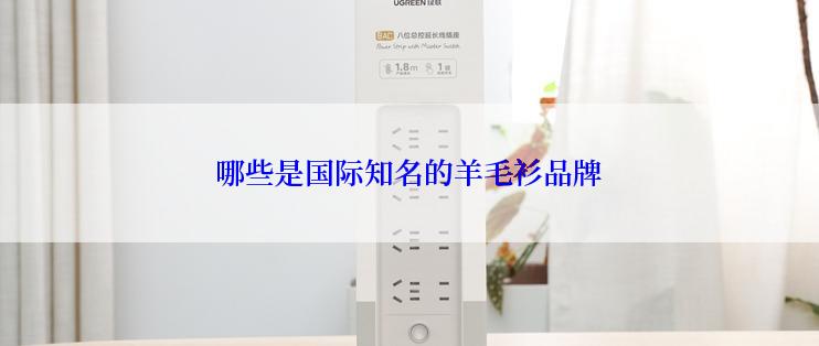 哪些是国际知名的羊毛衫品牌