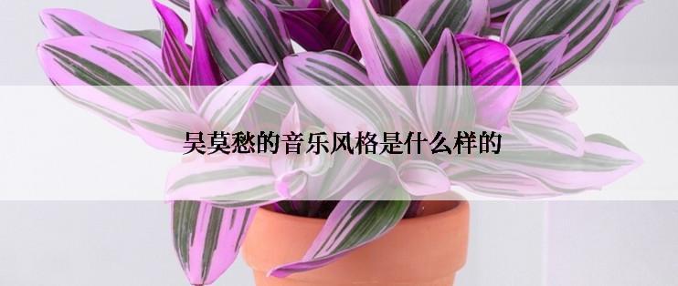  吴莫愁的音乐风格是什么样的