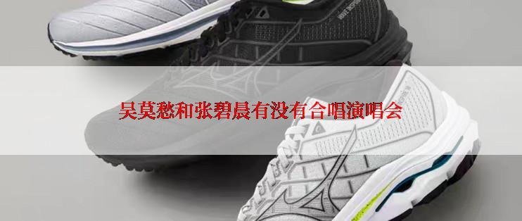 吴莫愁和张碧晨有没有合唱演唱会