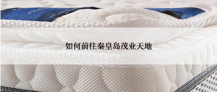 如何前往秦皇岛茂业天地