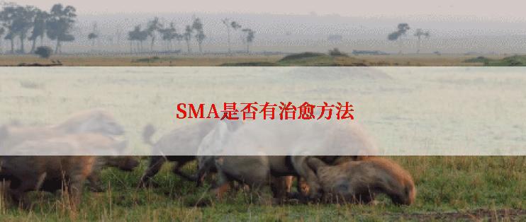  SMA是否有治愈方法