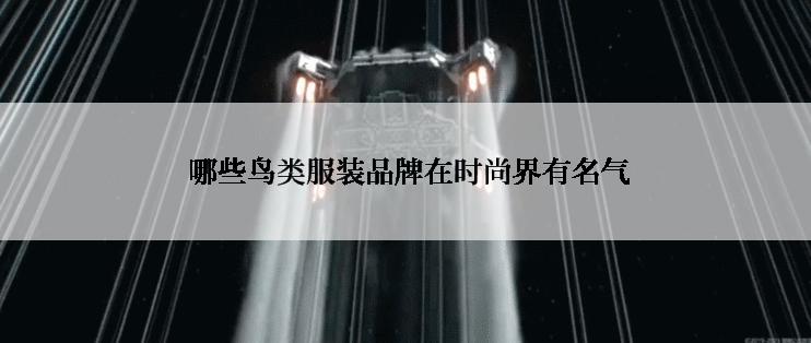  哪些鸟类服装品牌在时尚界有名气