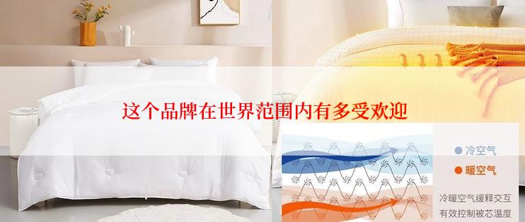  这个品牌在世界范围内有多受欢迎