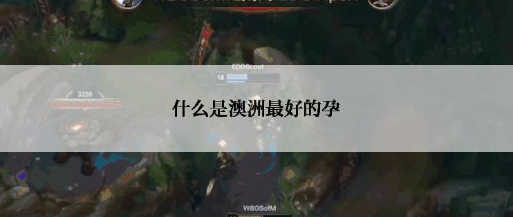什么是澳洲最好的孕