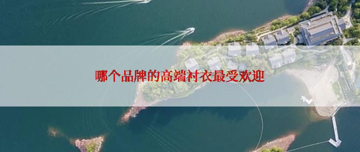 哪个品牌的高端衬衣最受欢迎