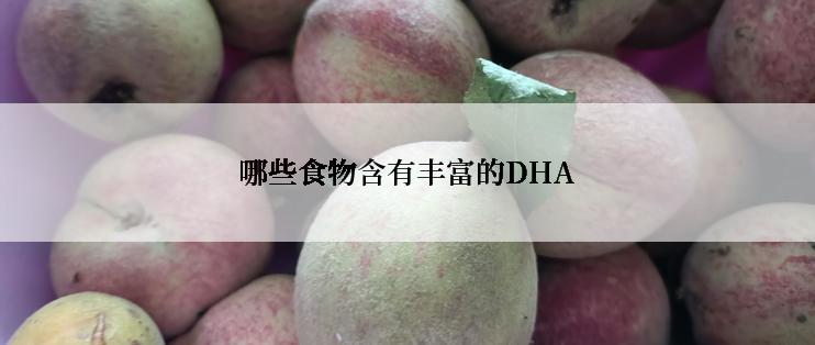 哪些食物含有丰富的DHA