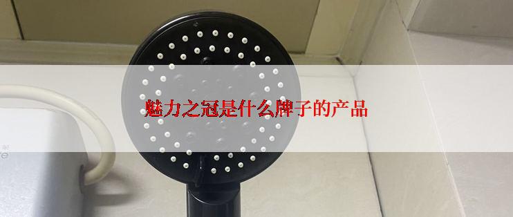 魅力之冠是什么牌子的产品