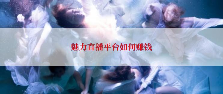 魅力直播平台如何赚钱