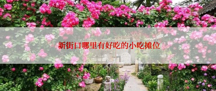 新街口哪里有好吃的小吃摊位