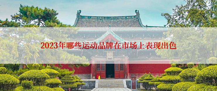 2023年哪些运动品牌在市场上表现出色