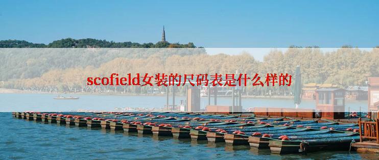 scofield女装的尺码表是什么样的
