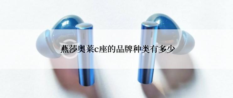  燕莎奥莱c座的品牌种类有多少
