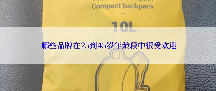  哪些品牌在25到45岁年龄段中很受欢迎
