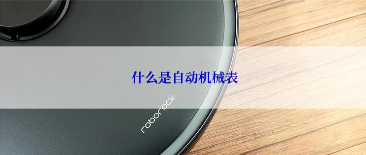  什么是自动机械表