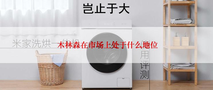  木林森在市场上处于什么地位