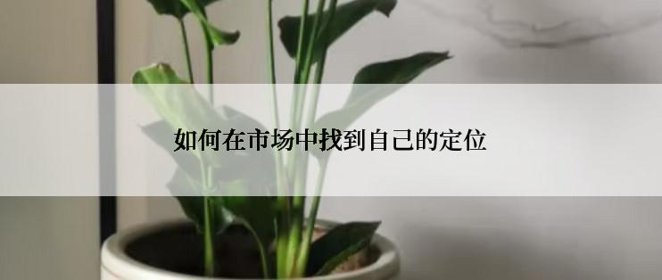 如何在市场中找到自己的定位